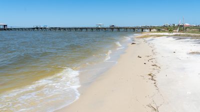 Tropical Paradise Private Beach Dauphin Island Vacation Rental