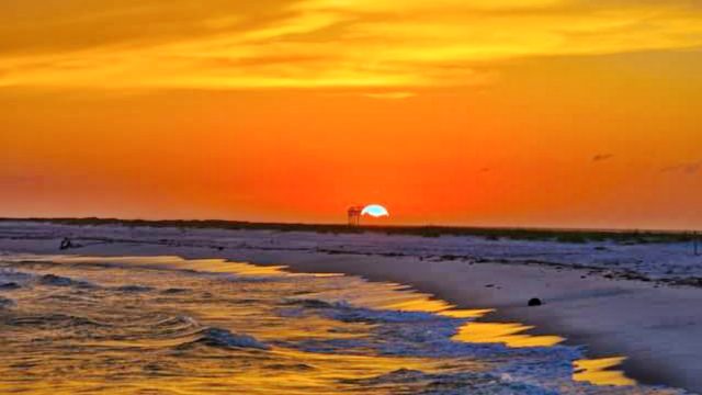 When Is The Best Time To Visit Dauphin Island Alabama